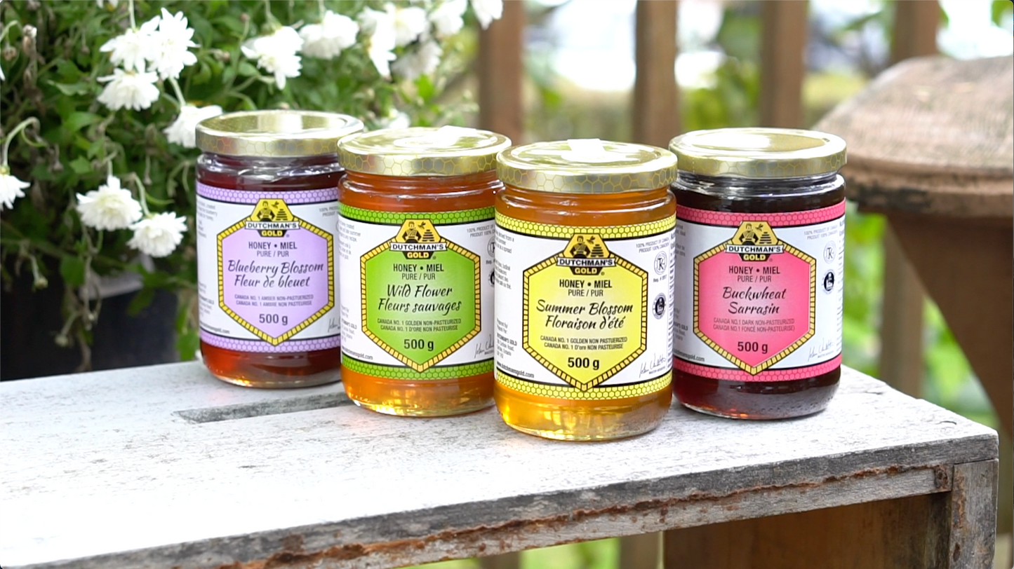 DUTCHMAN'S GOLD Summer Blossom Honey