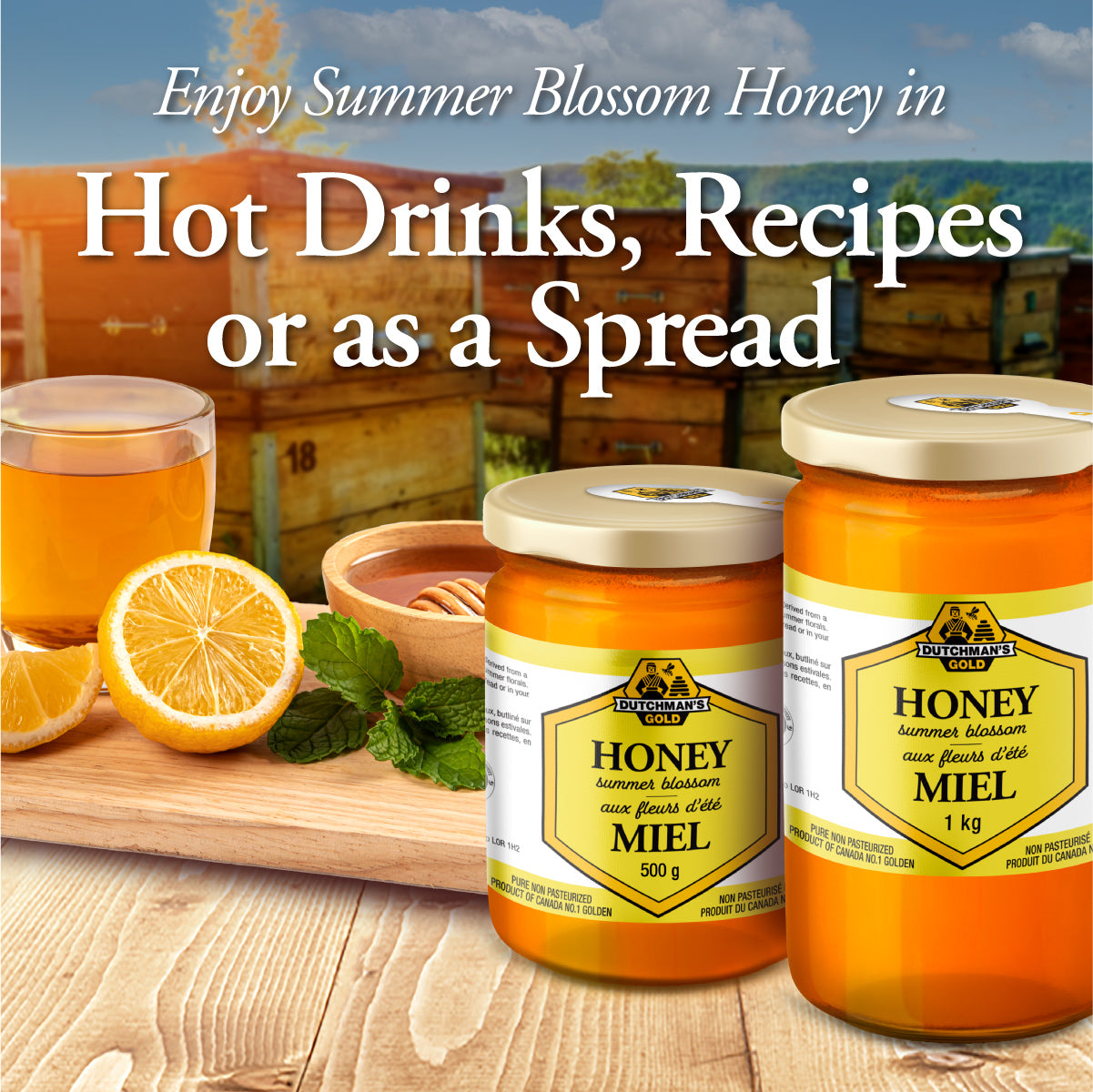DUTCHMAN'S GOLD Summer Blossom Honey