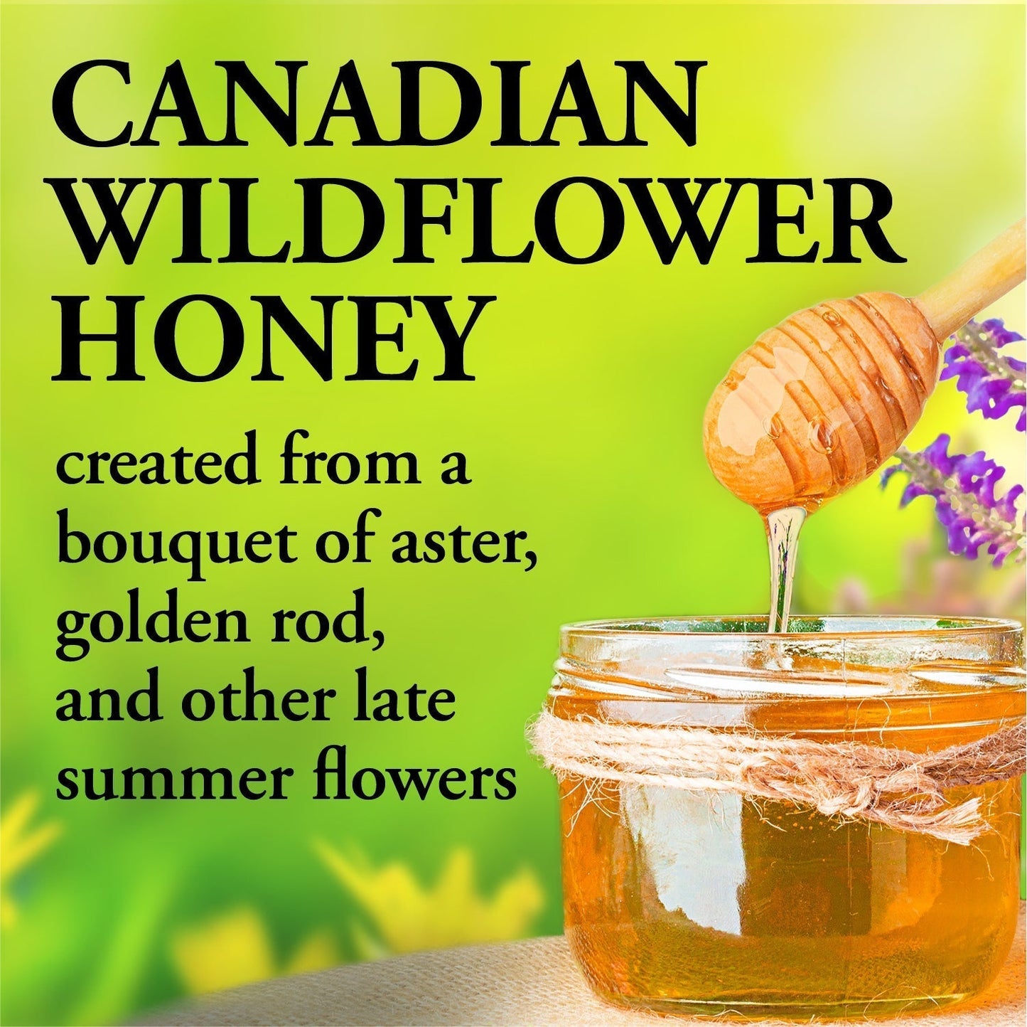 DUTCHMAN'S GOLD Wildflower Honey