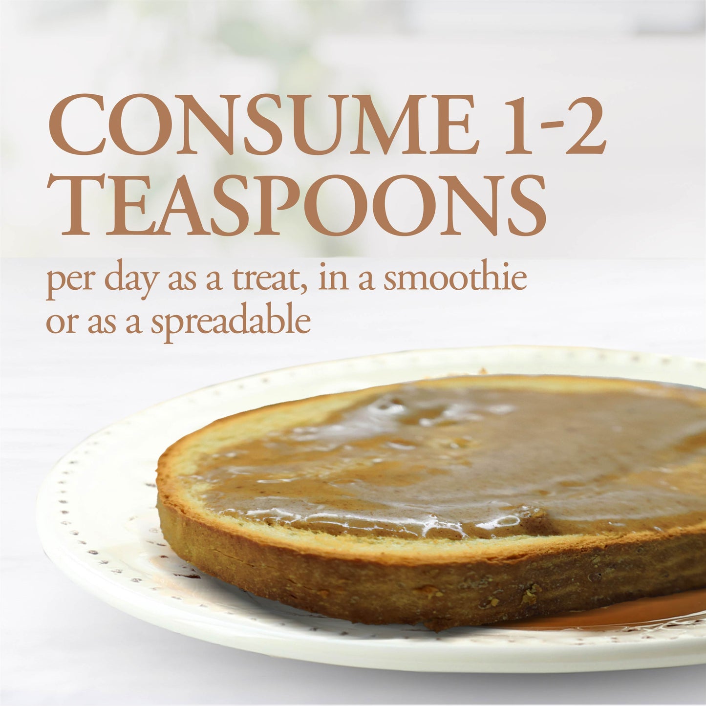 DUTCHMAN'S GOLD Cinnamon Honey Spread
