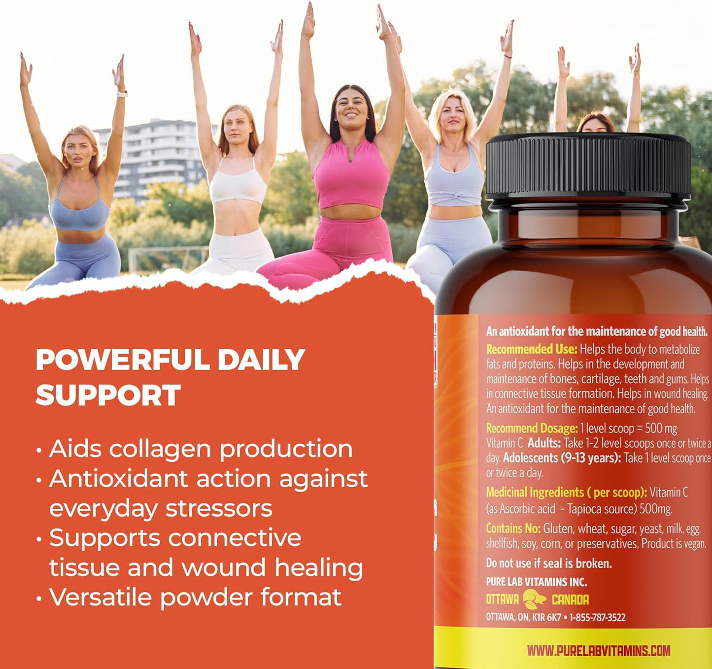 PURE LAB VITAMINS Vitamin C Powder, Corn + Sugar Free (500 mg - 250 g)